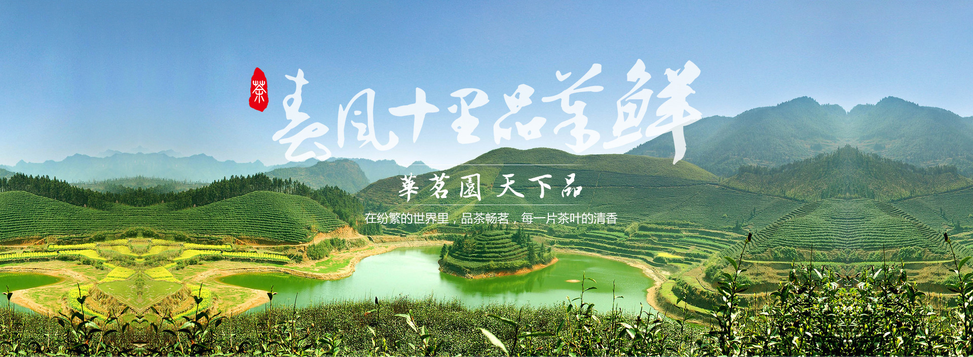 浙江華茗園-華茗園茶業(yè)-浙江華茗園茶業(yè)有限公司
