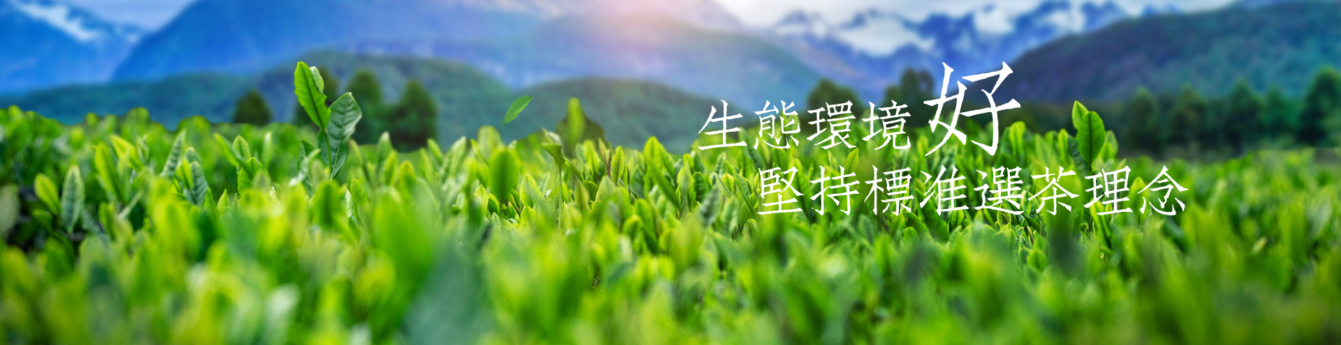 聯(lián)系我們